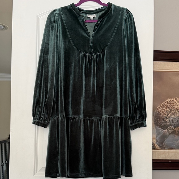 Wonderly Dark Green Velvet Long Sleeve Dress - Picture 1 of 3